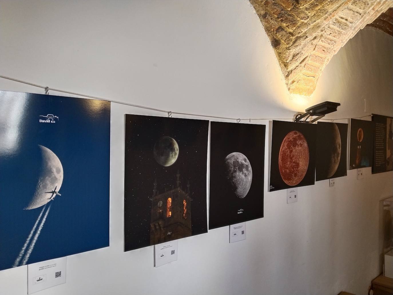 Imagen principal - Las paredes del Museo del Queso se llenan de fotografías de paisajes y fauna extremeña