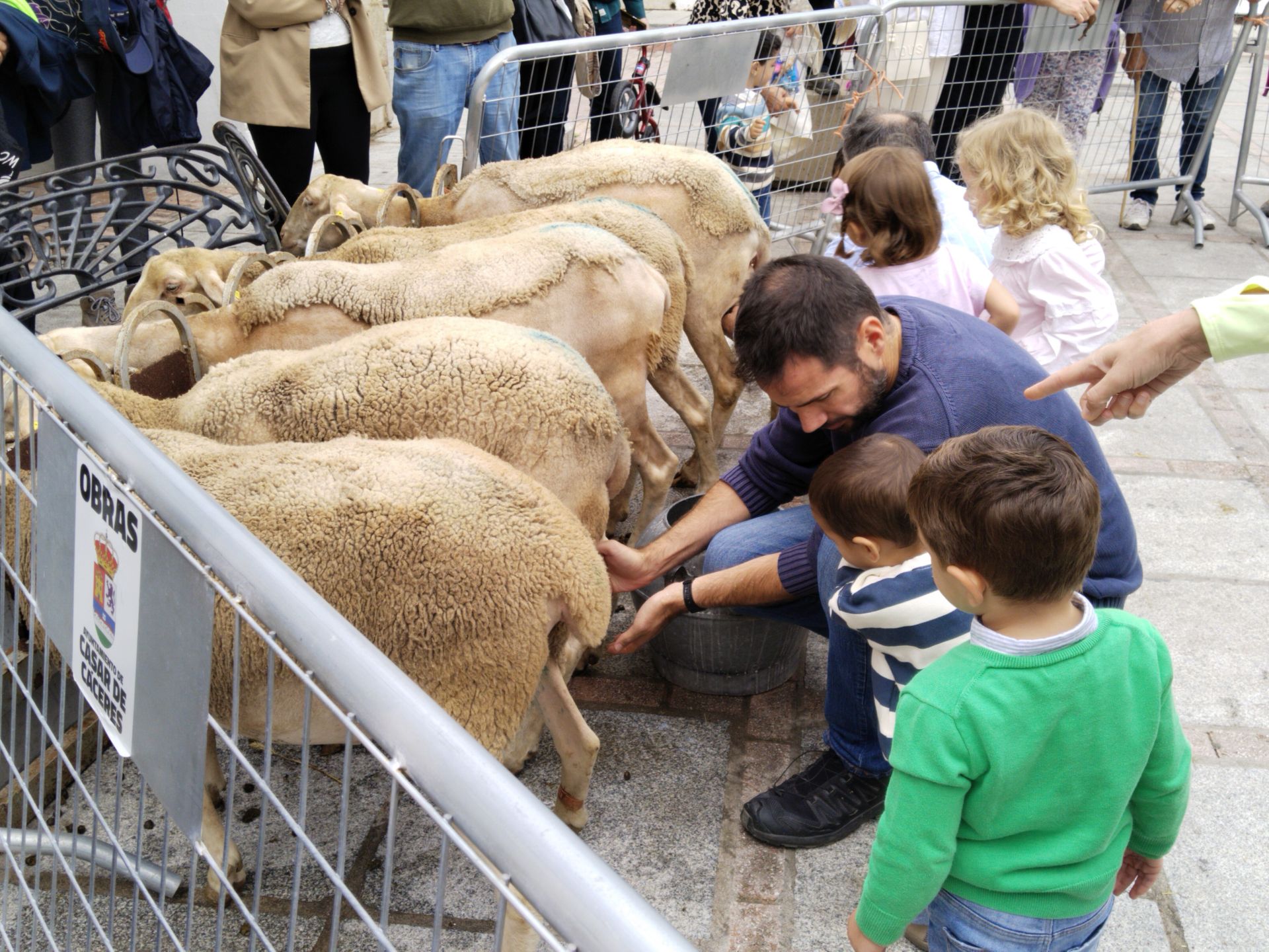 La Feria Europea del Queso echa el cierre a tres días intensos de degustaciones y actividades