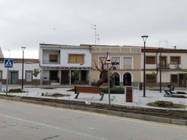 Cipreses y naranjos, entre las especies que sustituirán a las 202 palmeras taladas en el municipio