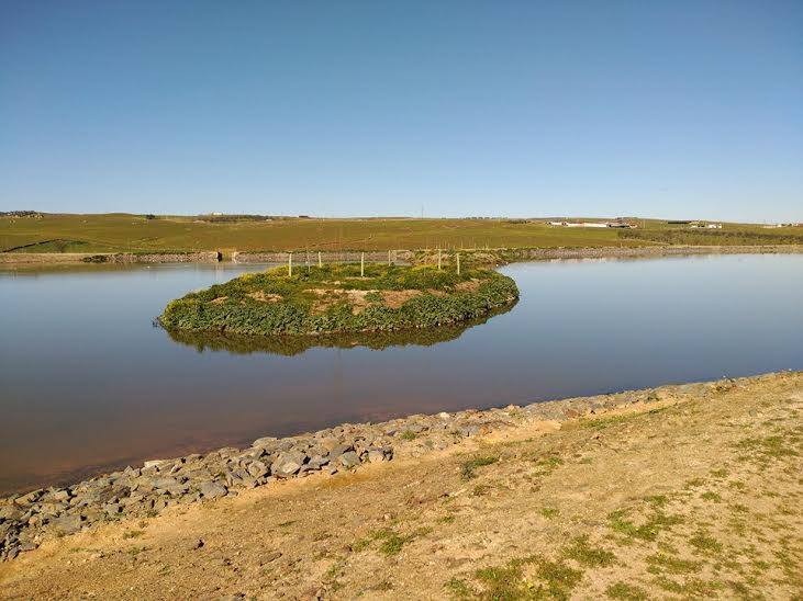 Organizan una visita a la laguna y la EDAR con motivo del Día Mundial del Árbol