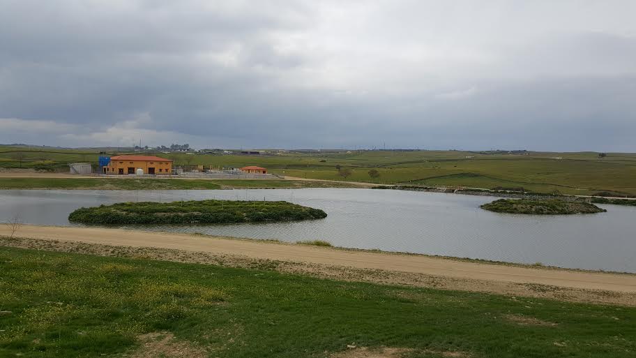 El vuelo cautivo tendrá lugar este domingo junto a la Laguna de Las Aceras. CEDIDA