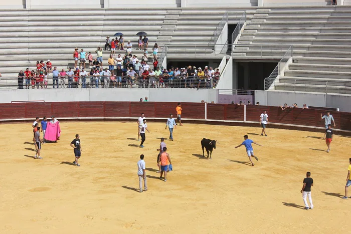 Una empresa de Torrejoncillo traerá los espectáculos taurinos del Ramo