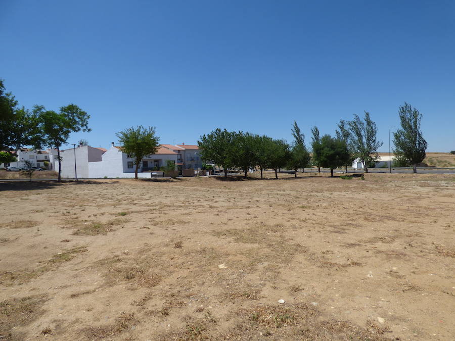 El Ayuntamiento inicia una campaña de limpieza de solares y parcelas para evitar incendios y focos de infección