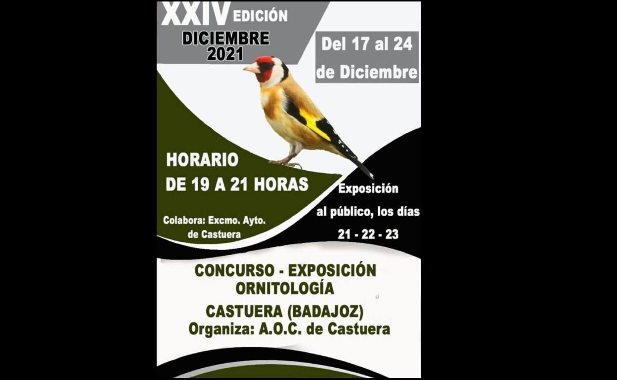 Concurso - exposición ornitología 