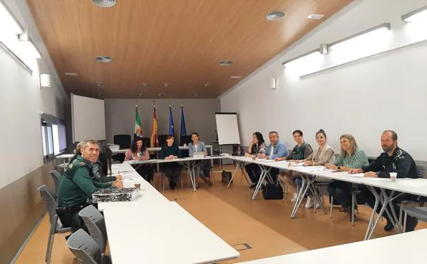 Las Mesas Locales de Coordinación contra la Violencia de Género se reunieron en el CID La Serena