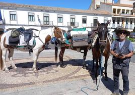 El peregrino Ángel Sánchez con sus caballos en la Plaza de España de Castuera