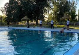 Pruebas de socorristas en la piscina municipal de Castuera