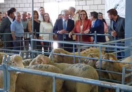 Autoridades visitarón el pabellón de exposición de ganado ovino.