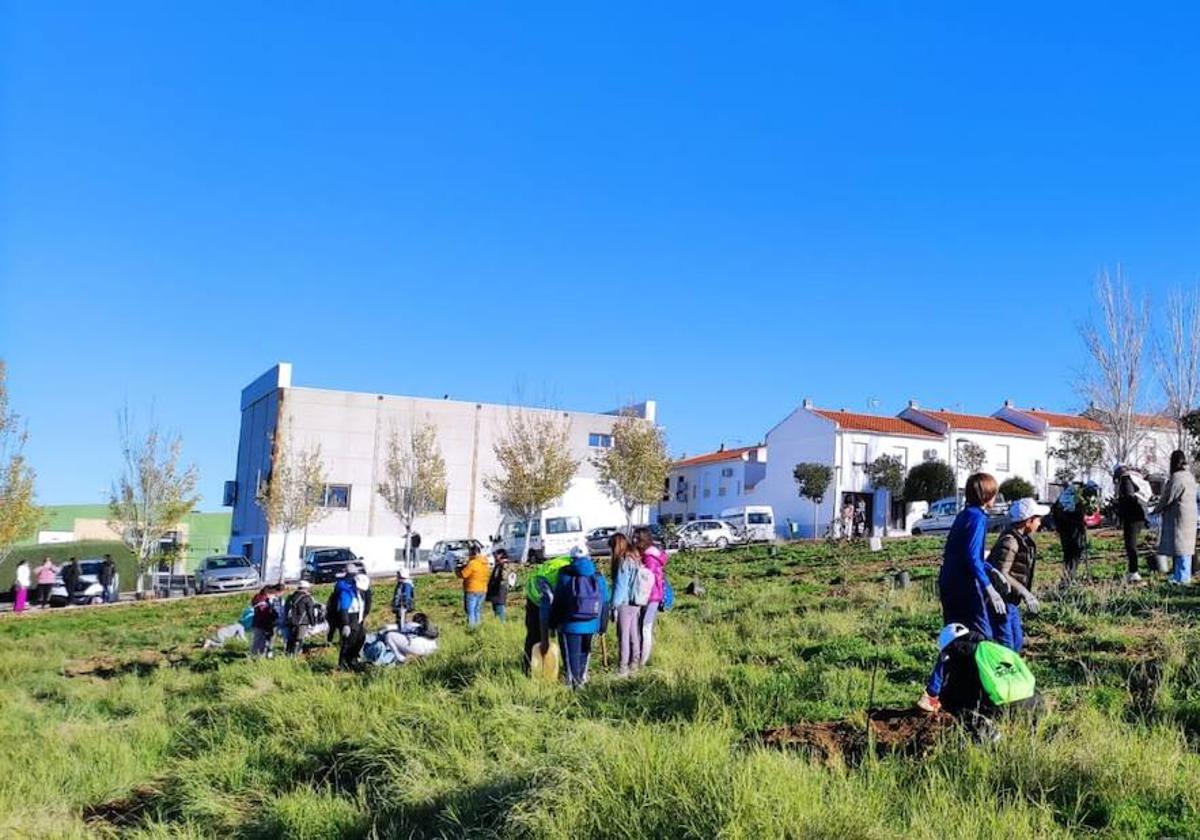 Escolares y Adiser participan en la iniciativa «Árboles por el Clima» de Diputación