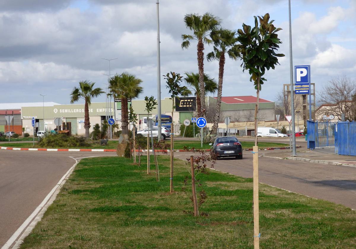 El Ayuntamiento acomete una nueva campaña de plantación de árboles y arbustos en calles, parques y jardines