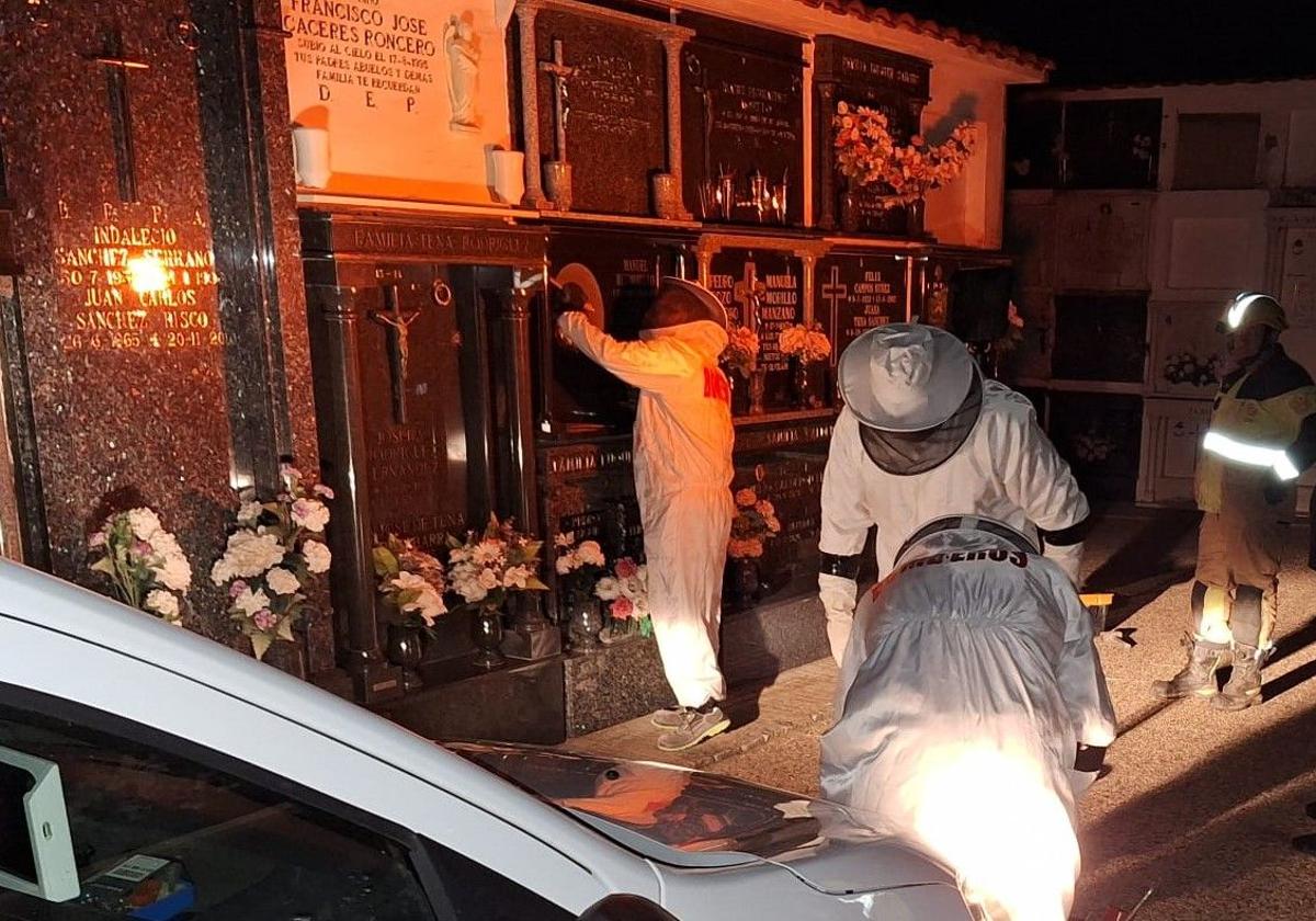 Retiran un enjambre de abejas oculto tras una lápida del cementerio