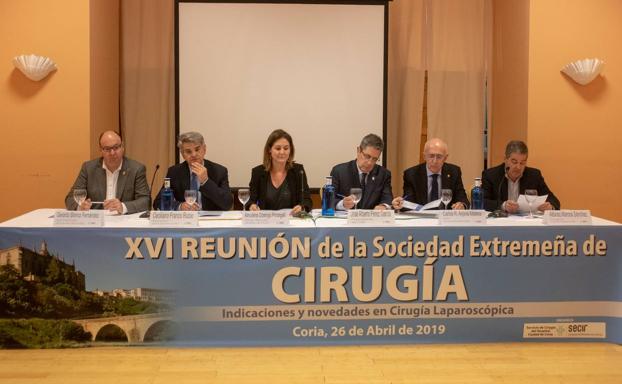 Un momento de la reunión de la Sociedad Extremeña de Cirugía