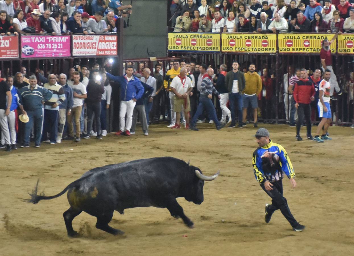 El toro Malagueño de Adolfo Martín también estuvo en buena línea