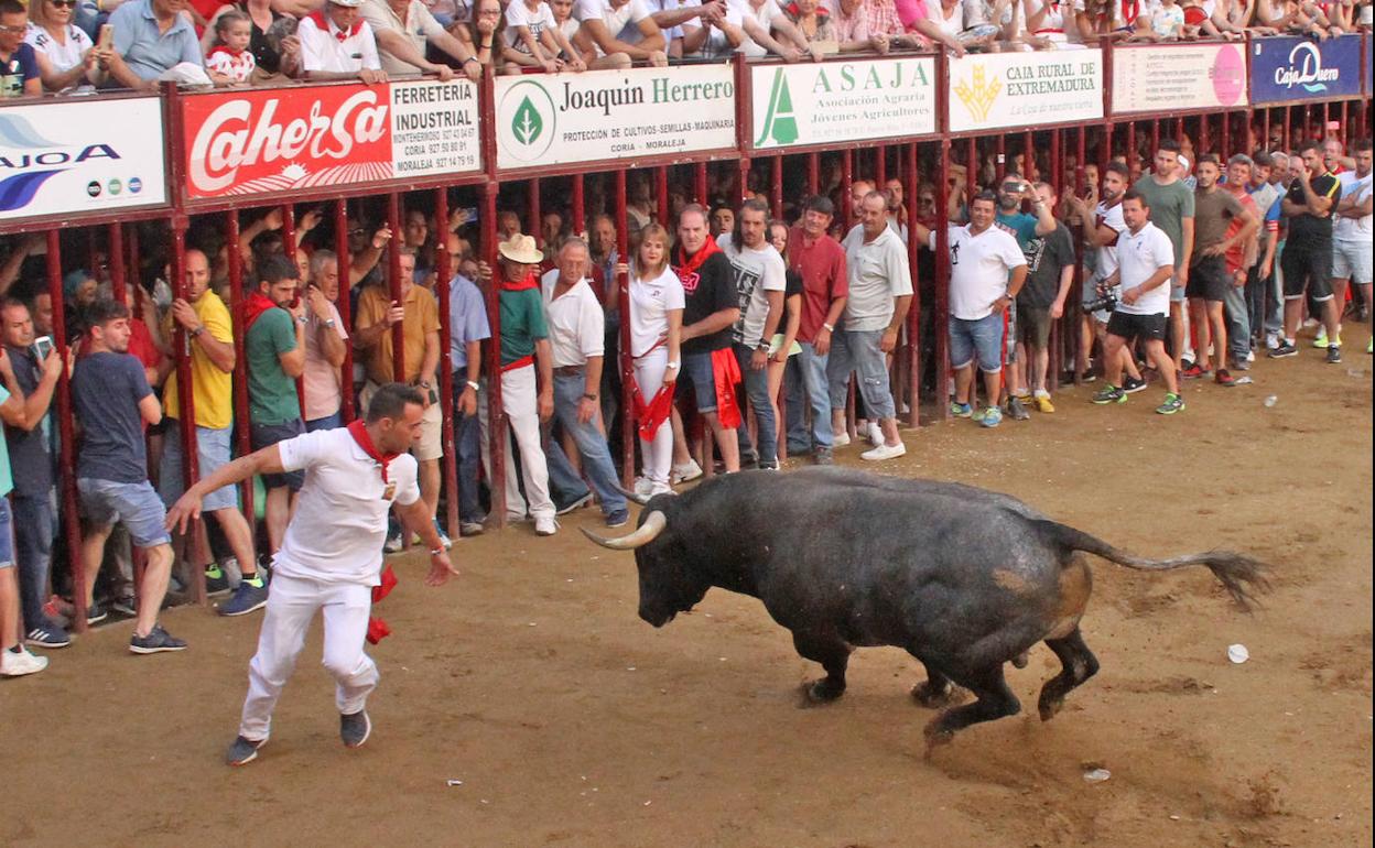 Un momento de la lidia del toro Cigarrón, en los últimos Sanjuanes. 