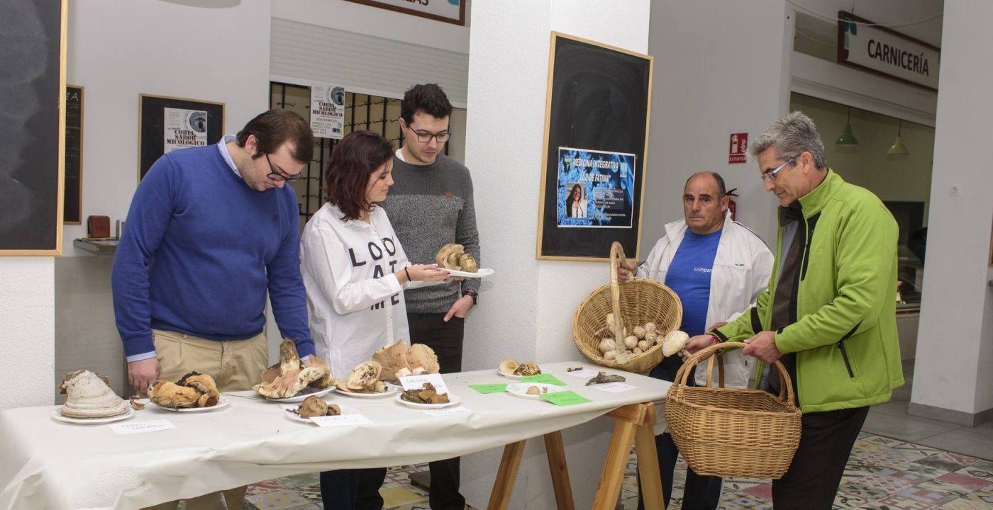 Clasificiación de las setas en otra edición