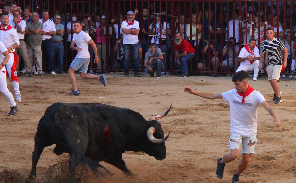 Lastimero en la plaza 