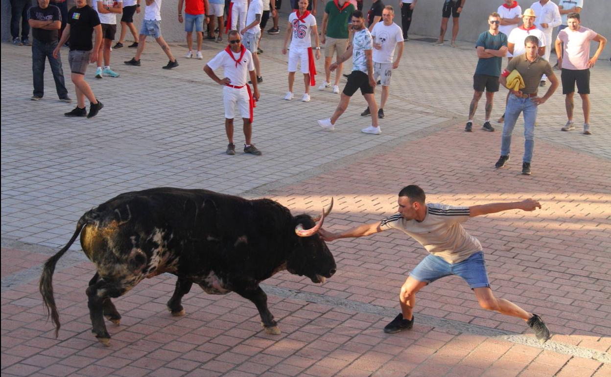 Toro con poco movimiento el de El 27