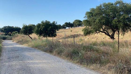 Somos Cáceres exige la mejora de ciertos caminos rurales de Coria