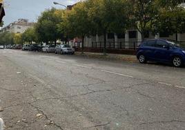 Avenida Alfonso VII: