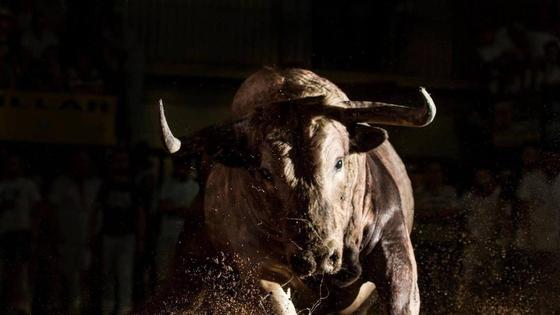 Coria se prepara para una nueva edición del Concurso de Fotografía San Juan 2023