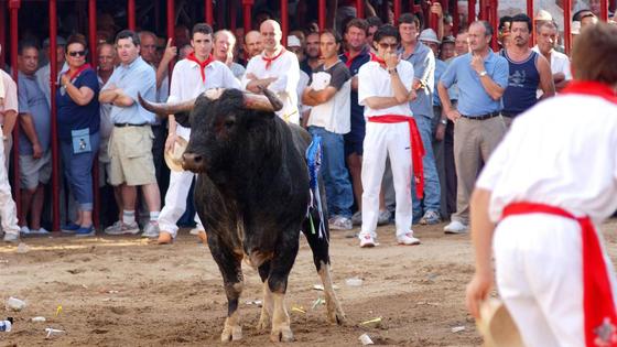Conoce la Ordenanza Taurina Municipal para San Juan 2023