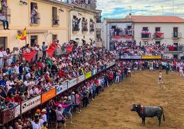 Plaza de toros de Coria.