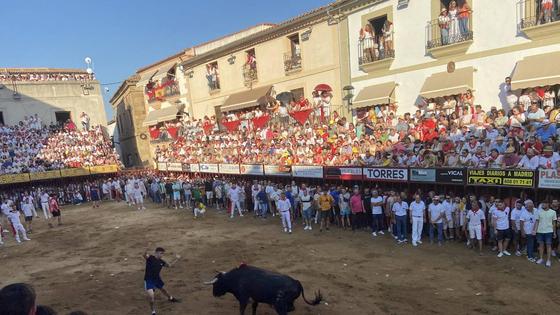 Poco movimiento de Espantavivos, que ha centrado su lidia en la Plaza de Toros