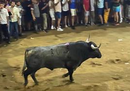 Escrupulillo durante su lidia.