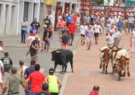 Encierro de Fogoso.