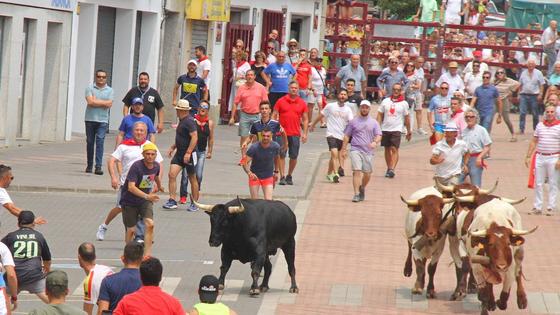 Fogoso protagoniza un bonito encierro sin incidentes