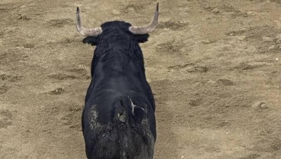 Tacaño da por finalizadas las madrugadas de San Juan con un buen espectáculo