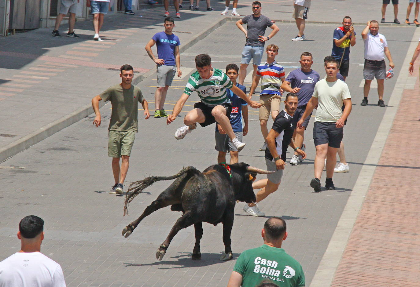 Últimos encierros de los Sanjuanes de Coria, en imágenes
