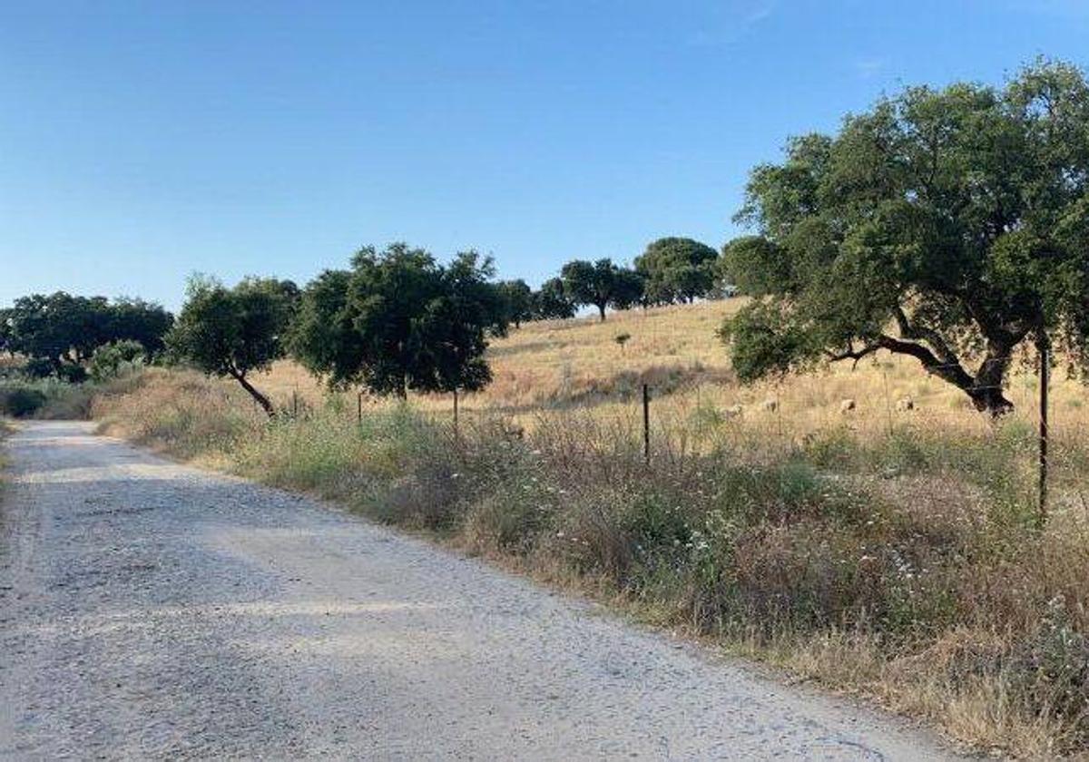 Caminos de Coria.