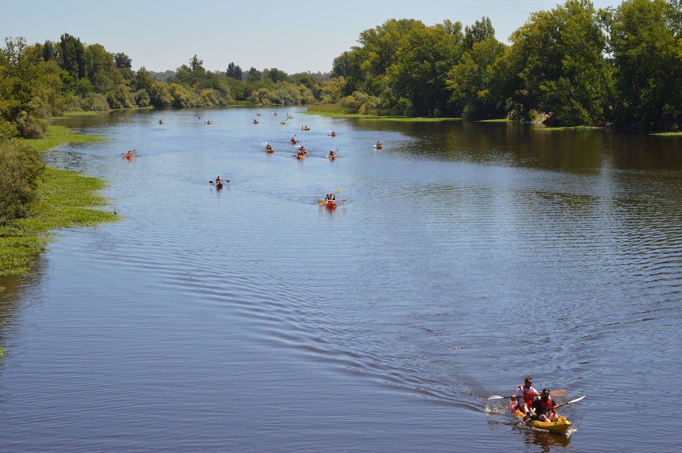 El XIV Descenso Río Alagón en fotos