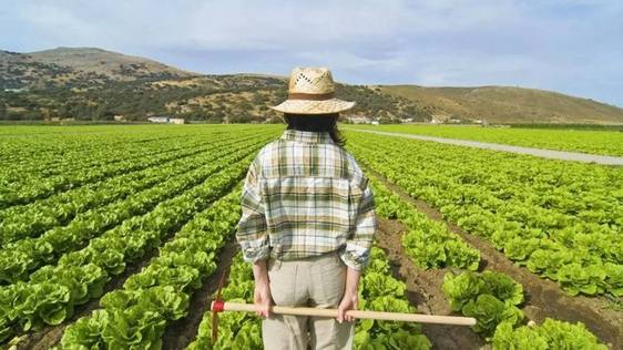 El lunes arranca una nueva edición del Día Internacional de las Mujeres Rurales