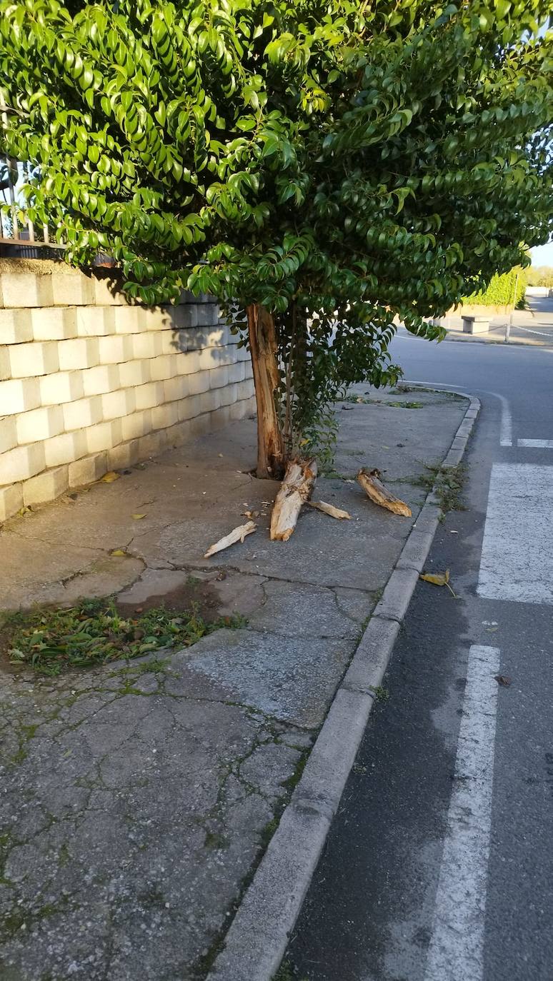 Estos son los estragos que ha causado Ciarán en Coria