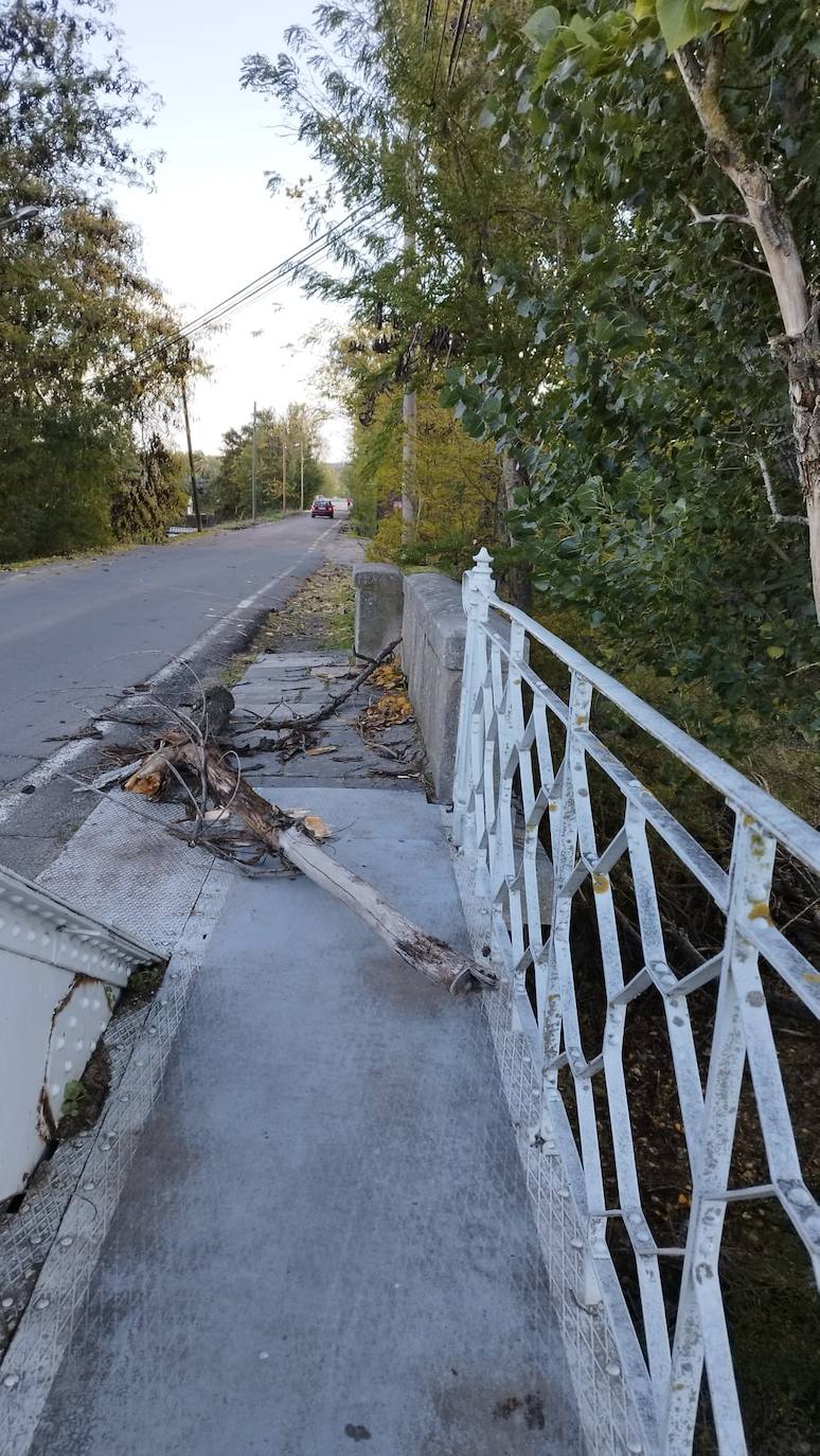 Estos son los estragos que ha causado Ciarán en Coria