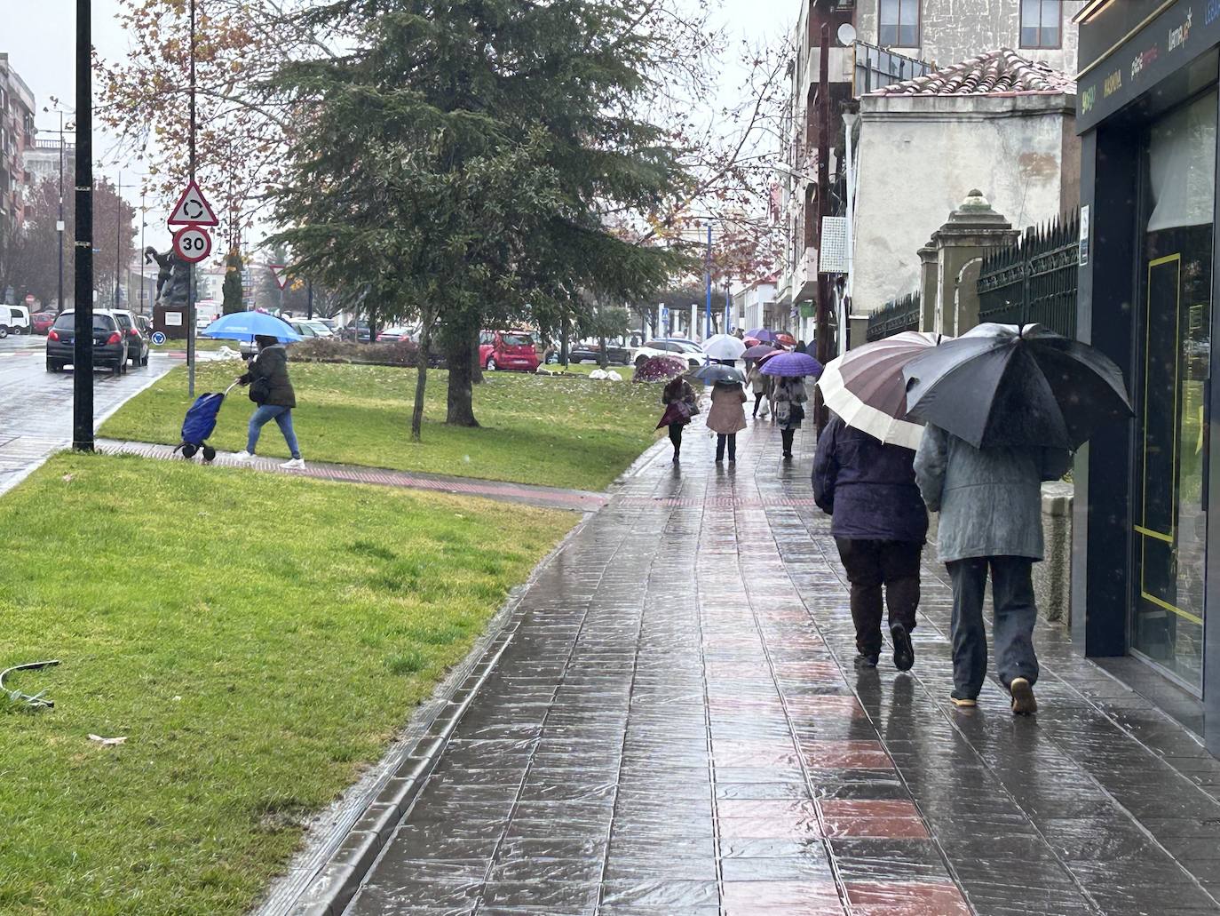 Coria.