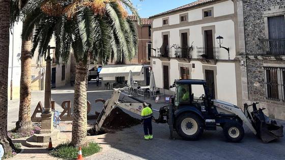 Coria realiza labores de tala en el arbolado urbano para una mayor seguridad de los viandantes
