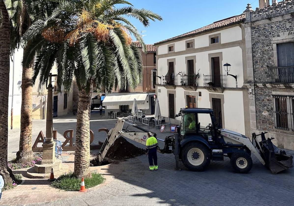 Poda en Coria.