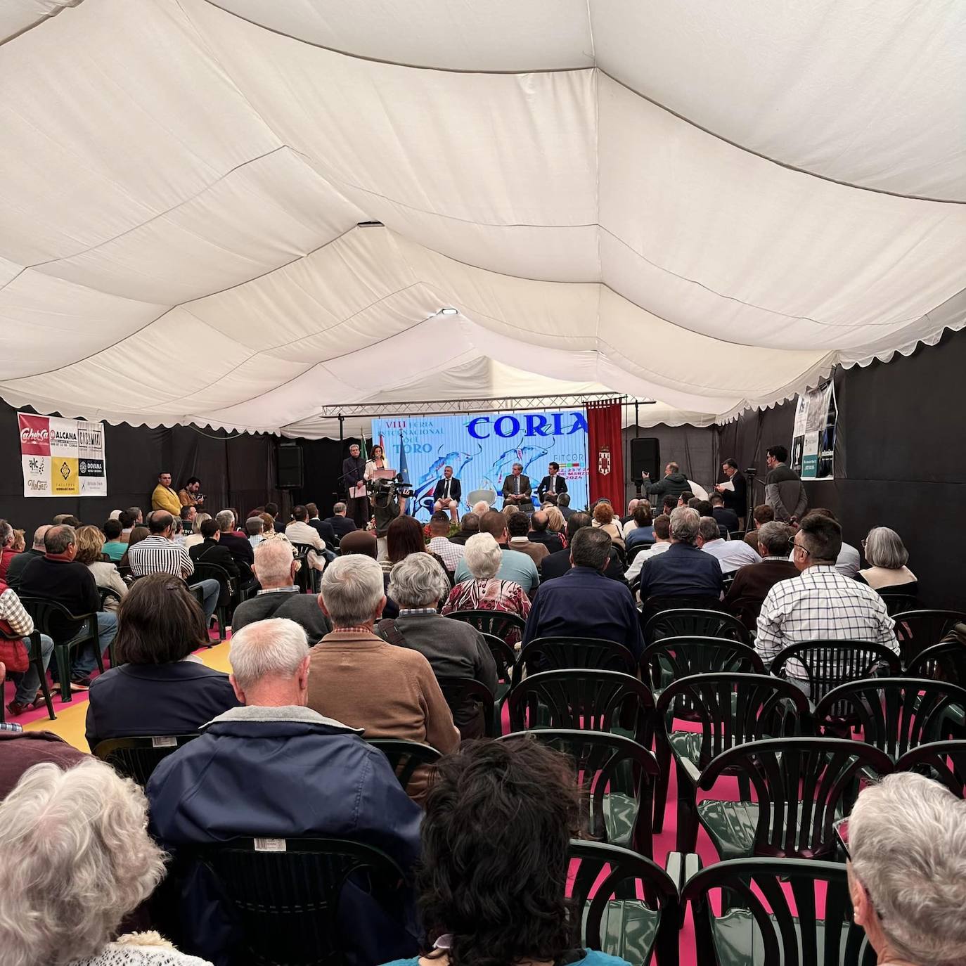 Miles de personas han disfrutado de la VIII Feria del Toro de Coria