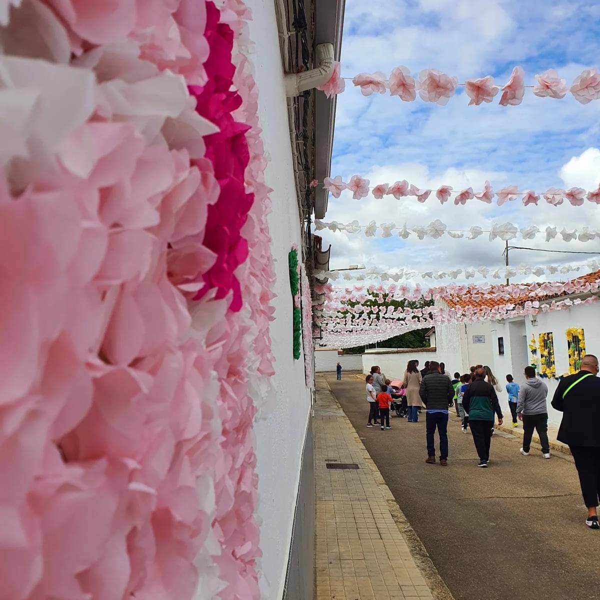 Vecinos del Rincón del Obispo asisten a su IX Festival de las Flores