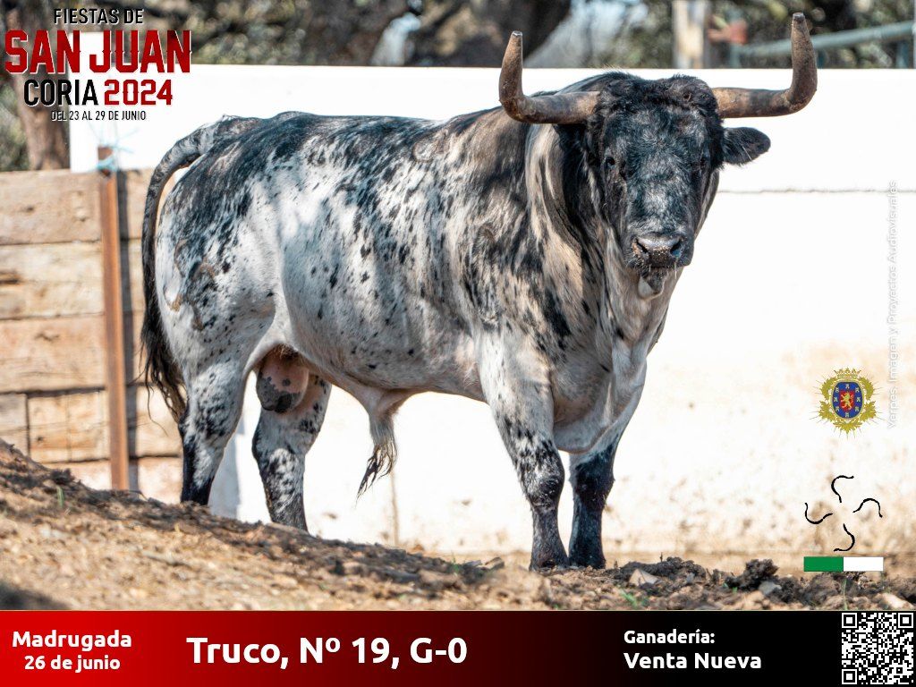 Conoce cuáles serán los astados que pisarán las calles de Coria durante San Juan 2024