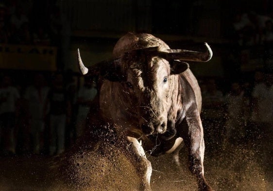 Coria se prepara para una nueva edición del Concurso de Fotografía San Juan 2024