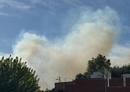 Columna de humo visible en Coria.