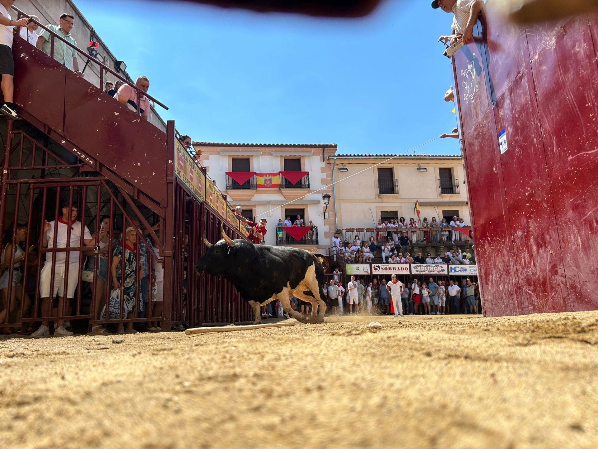 Batanero en la plaza de Coria.