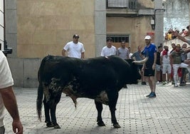 Malacara en la calle.