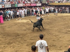 Malacara en un recorte.