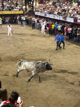 Cacharrero en su lidia.