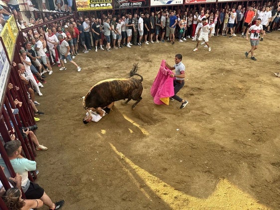 Piden reflexionar sobre la presencia de niños durante las cogidas de Coria